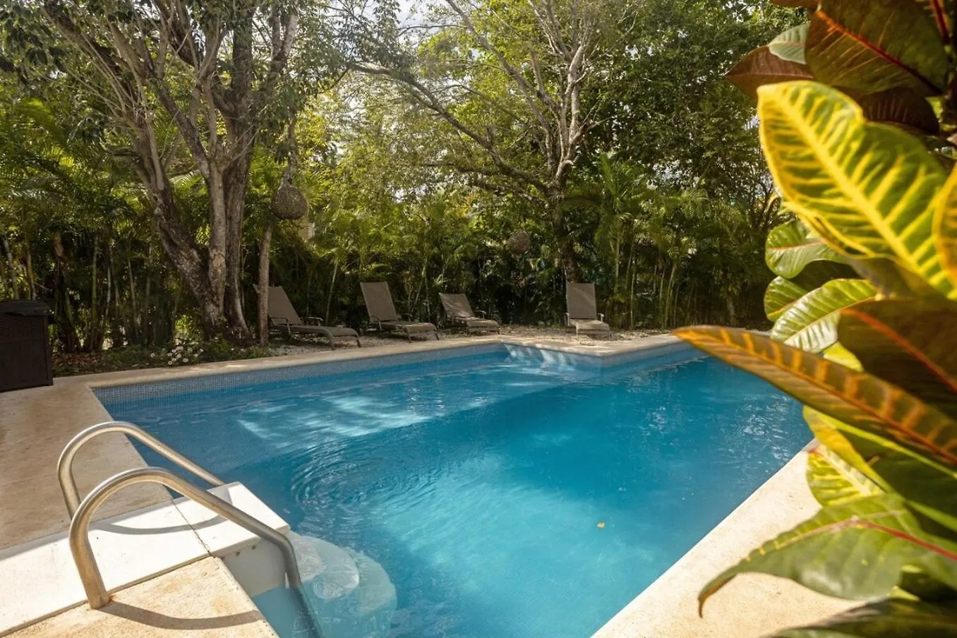 Lejlighed Playacar Master Suites, 2 Pools, Bbq, Beach 5 Min Playa del Carmen