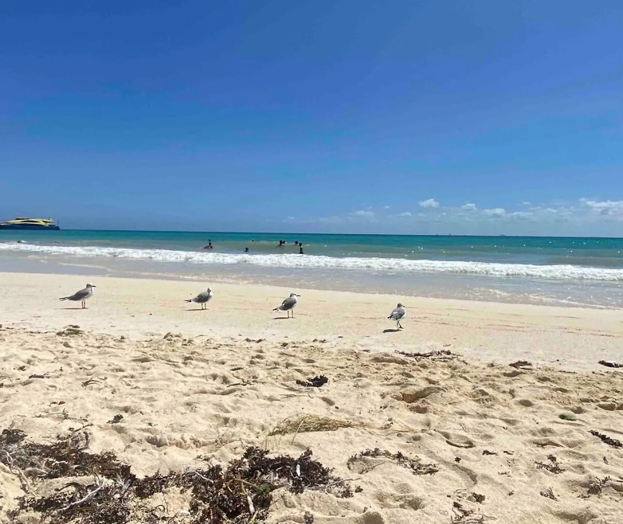 Playacar Master Suites, 2 Pools, Bbq, Beach 5 Min Playa del Carmen Lejlighed